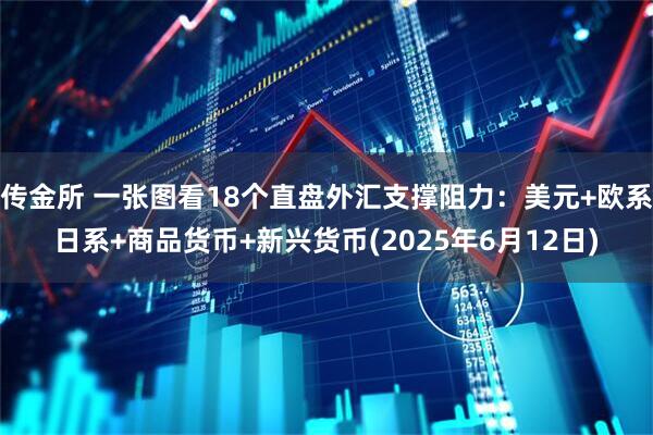 传金所 一张图看18个直盘外汇支撑阻力：美元+欧系日系+商品货币+新兴货币(2025年6月12日)