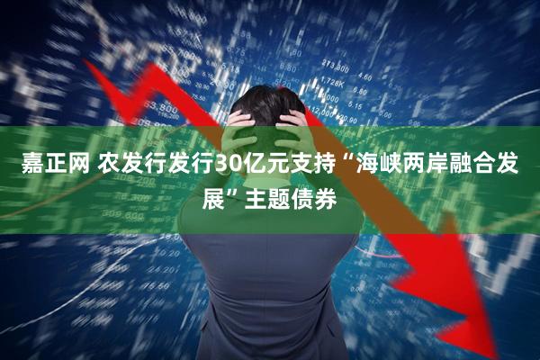 嘉正网 农发行发行30亿元支持“海峡两岸融合发展”主题债券